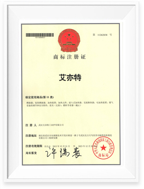 01_艾亦特 11类